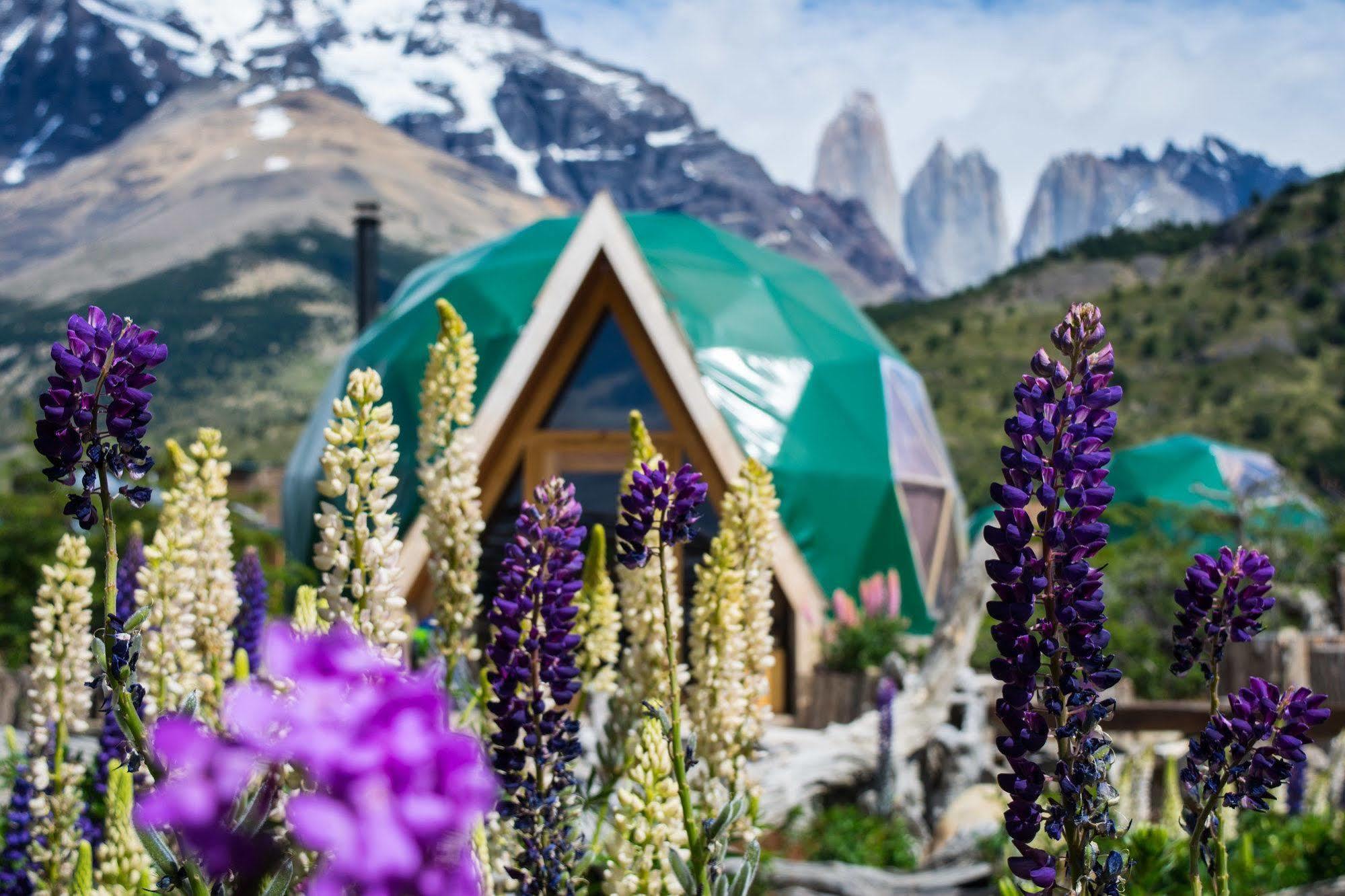Ecocamp Patagonia Villa Torres del Paine National Park ภายนอก รูปภาพ